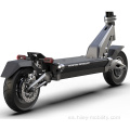 Scooter eléctrico de 10 pulgadas 2400W 60V